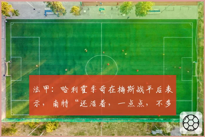 法甲:哈利霍季奇在梅斯战平后表示,南特“还活着,一点点,不多”