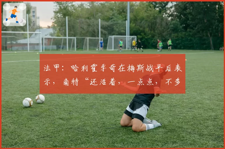 法甲:哈利霍季奇在梅斯战平后表示,南特“还活着,一点点,不多”