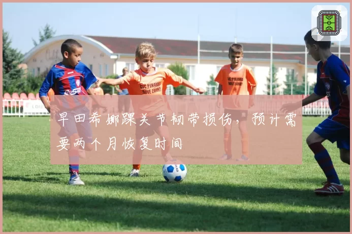 早田希娜踝关节韧带损伤，预计需要两个月恢复时间