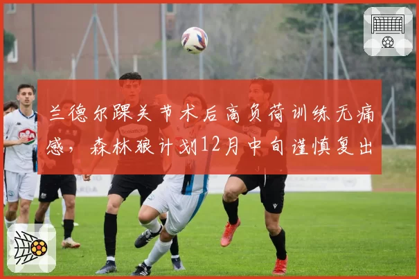 兰德尔踝关节术后高负荷训练无痛感,森林狼计划12月中旬谨慎复出