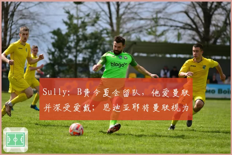 Sully：B费今夏会留队，他爱曼联并深受爱戴；恩迪亚耶将曼联视为梦想目的地，但埃弗顿会要求高额转会费